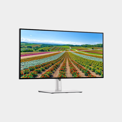 Dell P2422H 23.8 FHD Monitor